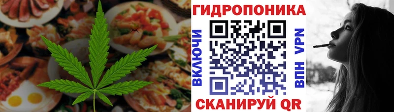 Cannafood конопля  Артём 