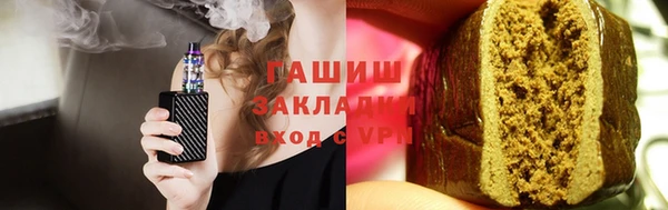 гашик Алексин