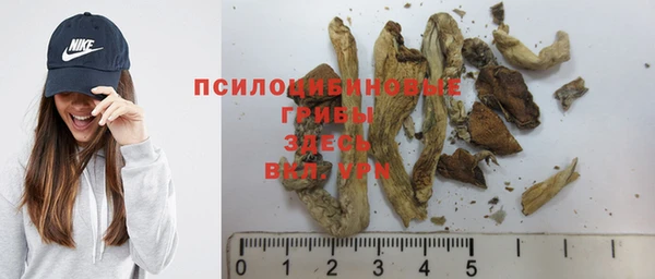 молекула духа Алзамай