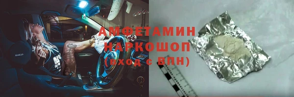 гашик Алексин