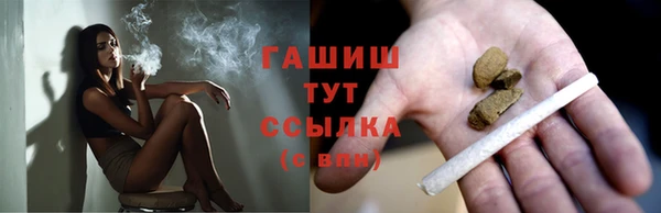 гашик Алексин