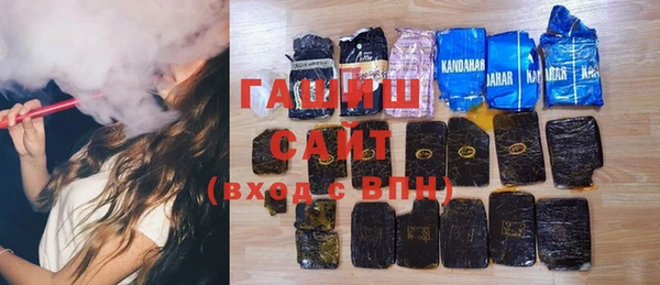 гашик Алексин