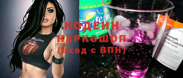 гашик Алексин