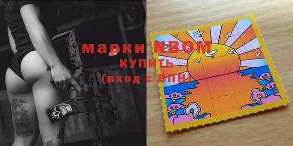гашик Алексин