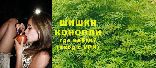 молекула духа Алзамай
