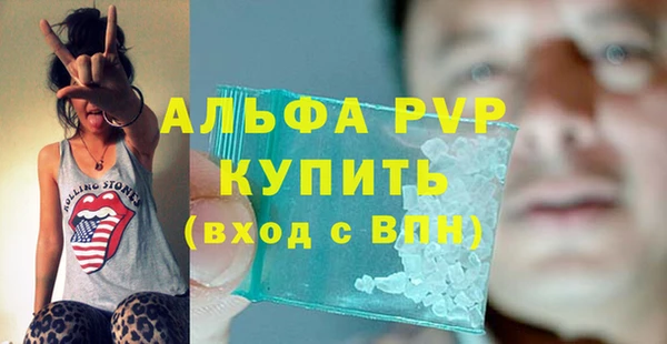 прущие грибы Волгодонск